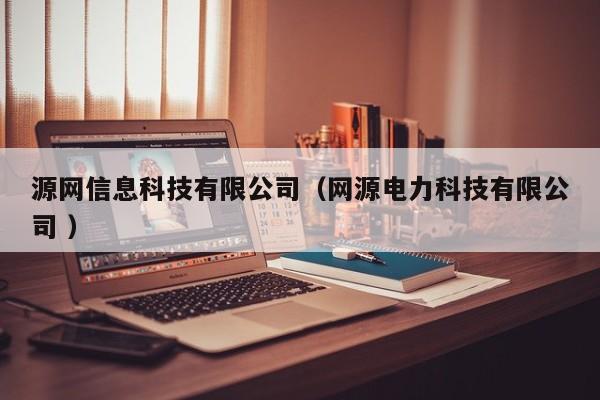 源網(wǎng)信息科技有限公司（網(wǎng)源電力科技有限公司 ）